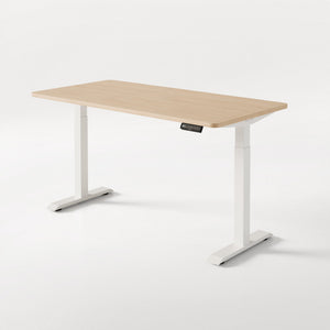 HomeOne desk