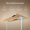 Translation missing: en.products.product.gallery_thumbnail_alt
