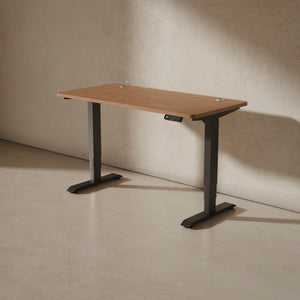 HomePro desk