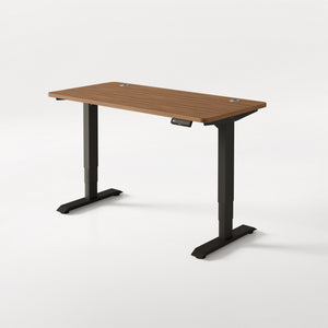 HomePro desk