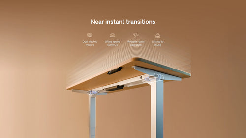 HomePro desk