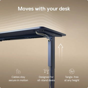 Load image into Gallery viewer, 
