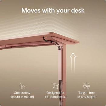 Load image into Gallery viewer, 
