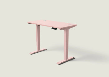 Load image into Gallery viewer, HomePro desk
