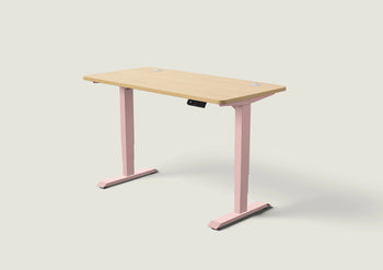 Load image into Gallery viewer, HomePro desk
