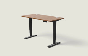HomePro desk
