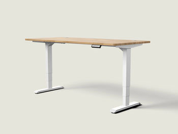 Load image into Gallery viewer, HomePro desk

