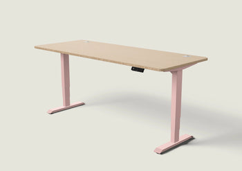 Load image into Gallery viewer, HomePro desk
