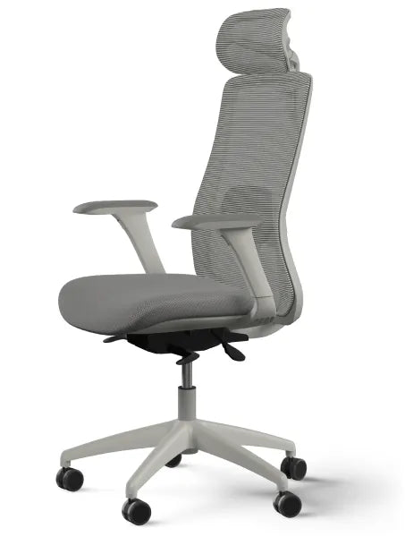 SitOne ergonomic chair