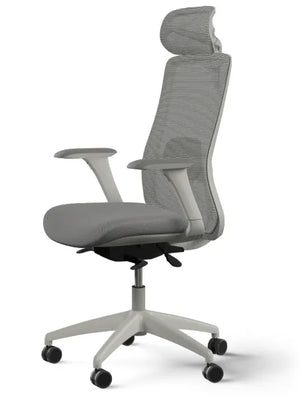 SitOne ergonomic chair