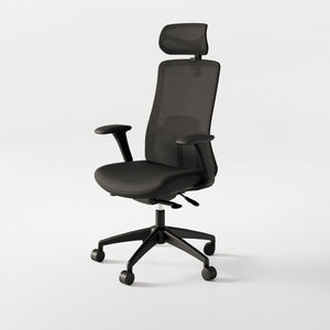 SitOne ergonomic chair