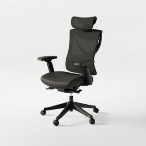 SitPro ergonomic chair